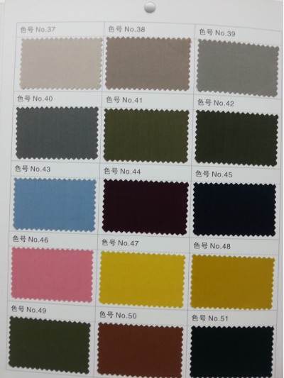 GZ- LEEN  C65% T35% L58025 後面照